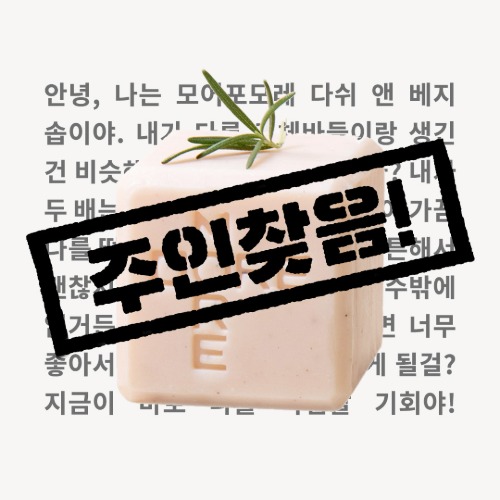 [그제상점] 디쉬 앤 베지 솝 200g